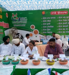 4c9a21a9-2ef3-4674-a568-9872bfa3a210