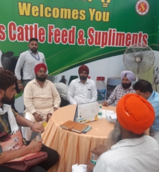 90cf2a12-76ab-4104-a8a3-d7841b8c1bf9