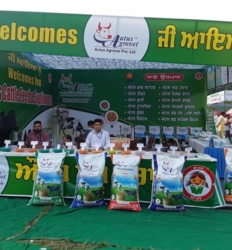 d2f4800f-1df4-42a4-871d-2f473eee62ac